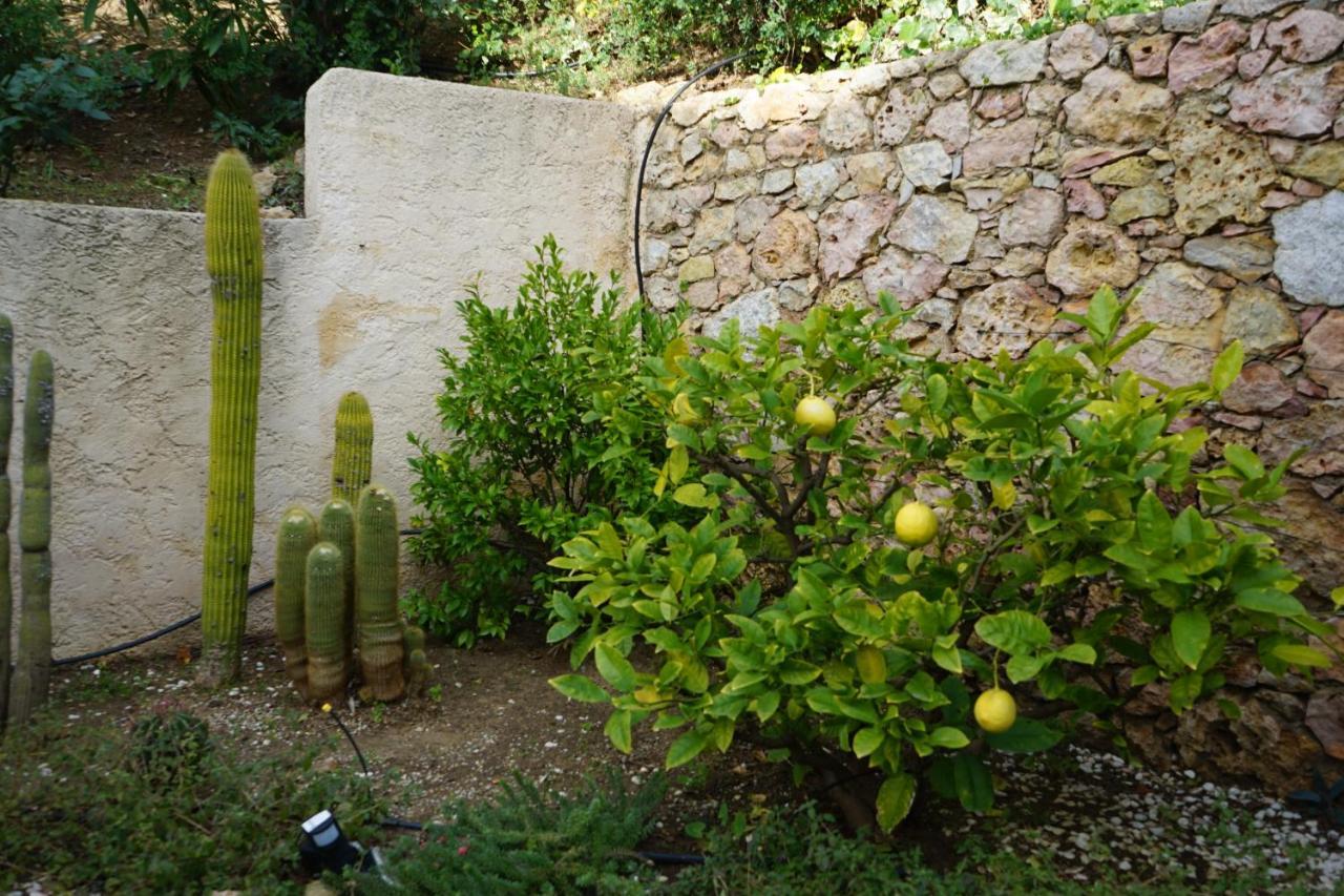 Villa Les Cades Sainte-Maxime Exterior photo